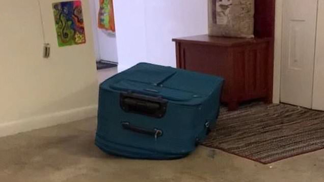 Woman faces murder charges for zipping boyfriend in suitcase